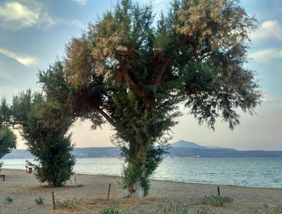 Griechisch lernen auf Kreta